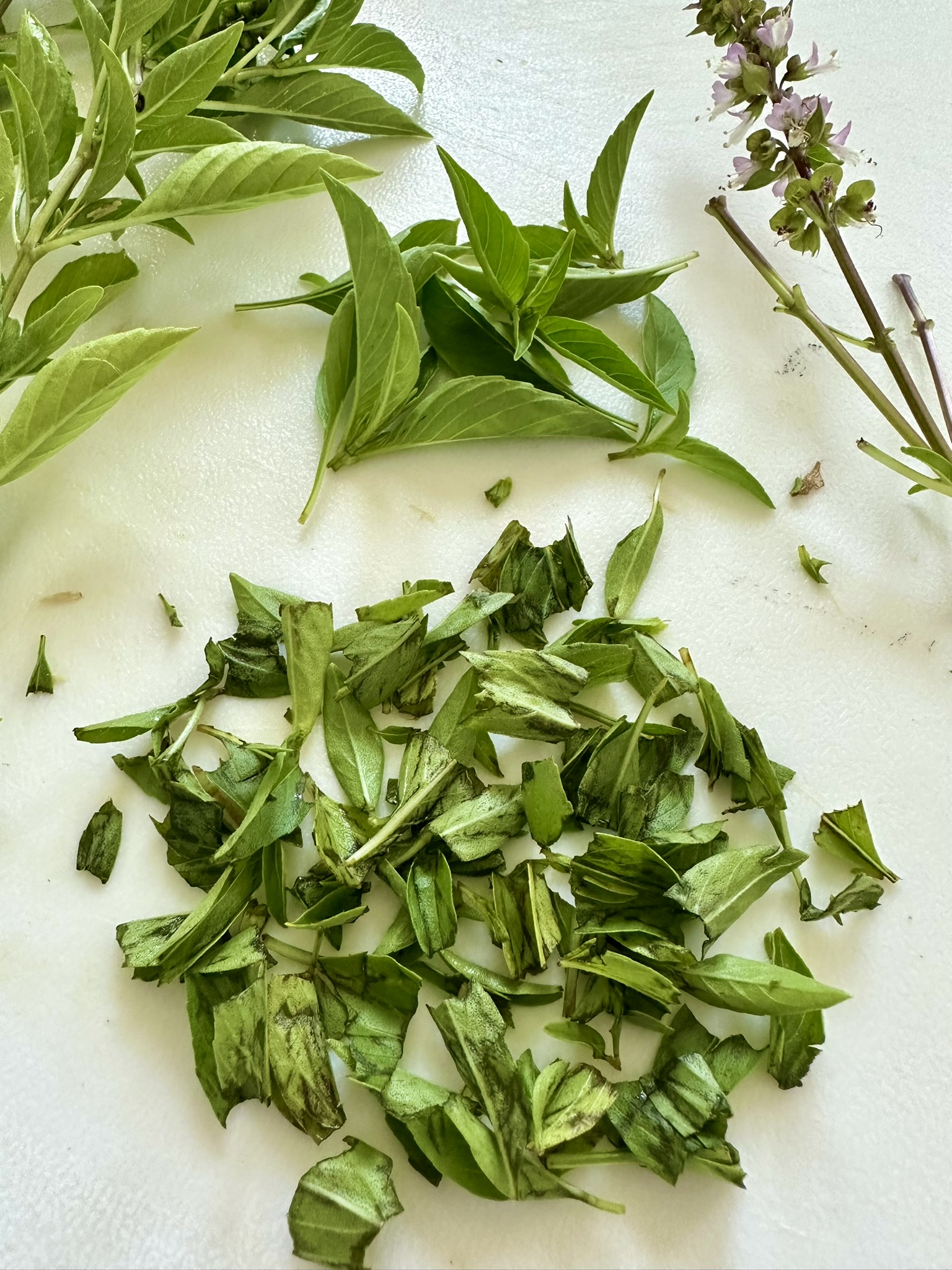 Thai Basil -hand-torn