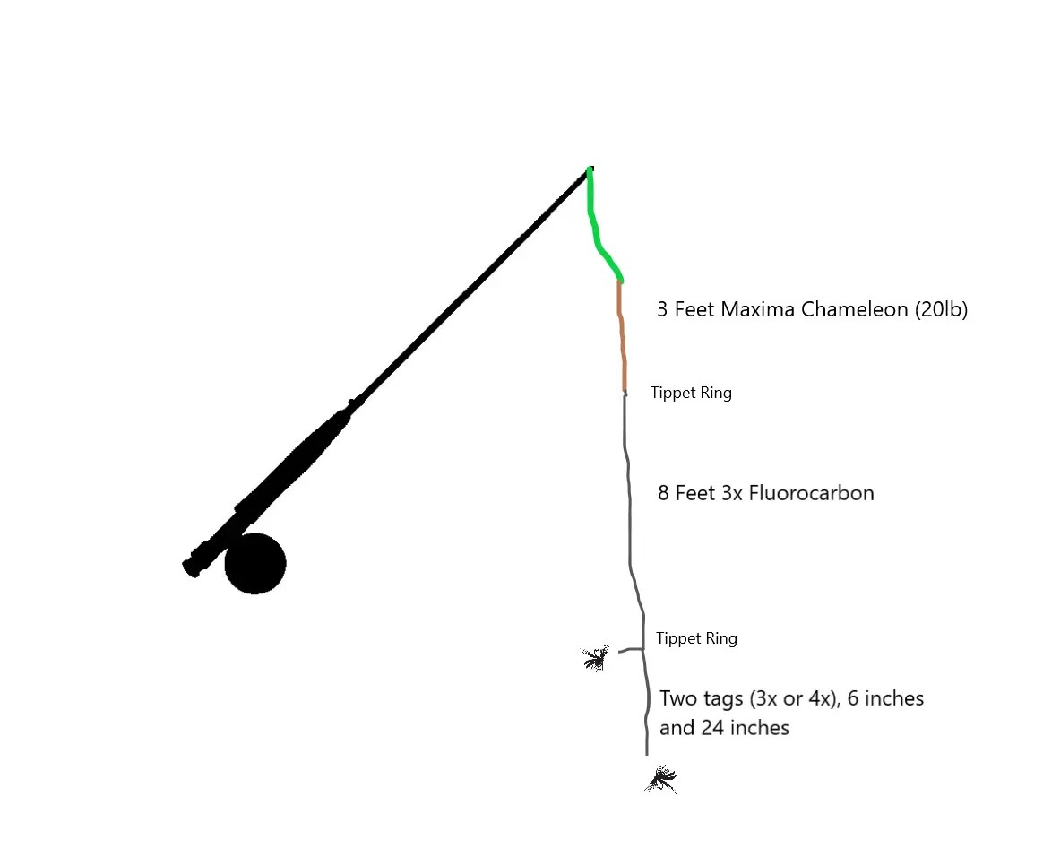 Stillwater Indicator Leader