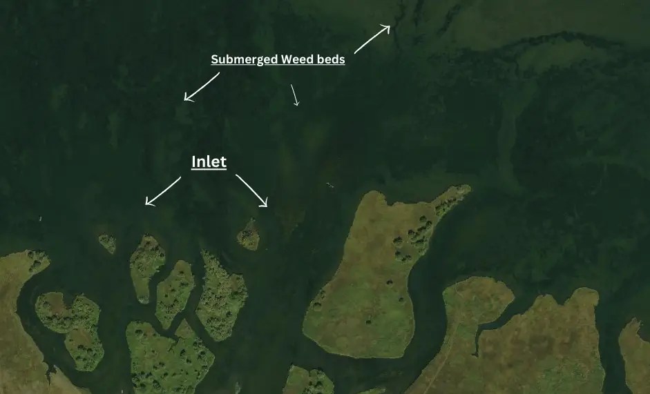 Fly fishing the inlet on a lake