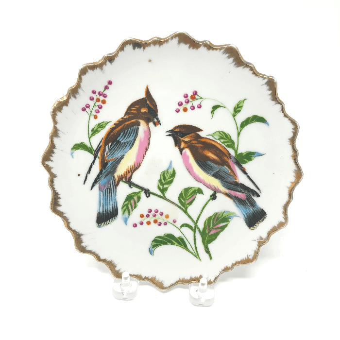 two birds on a plate