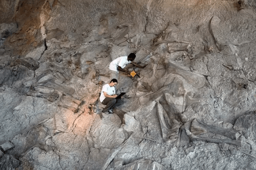 The Jurassic Logjam