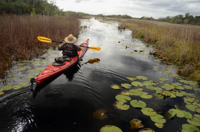 Okefenokee