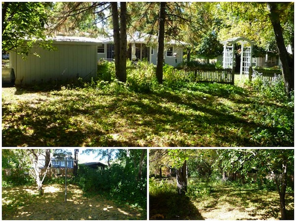 before and after backyard