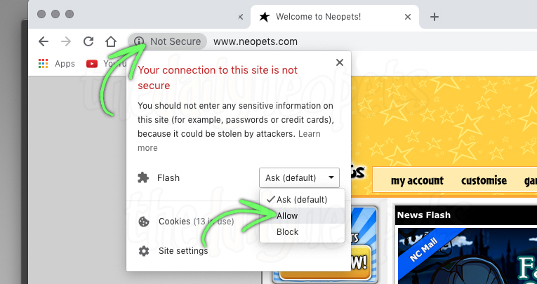 Getting Around The Flash Ban Neopets 