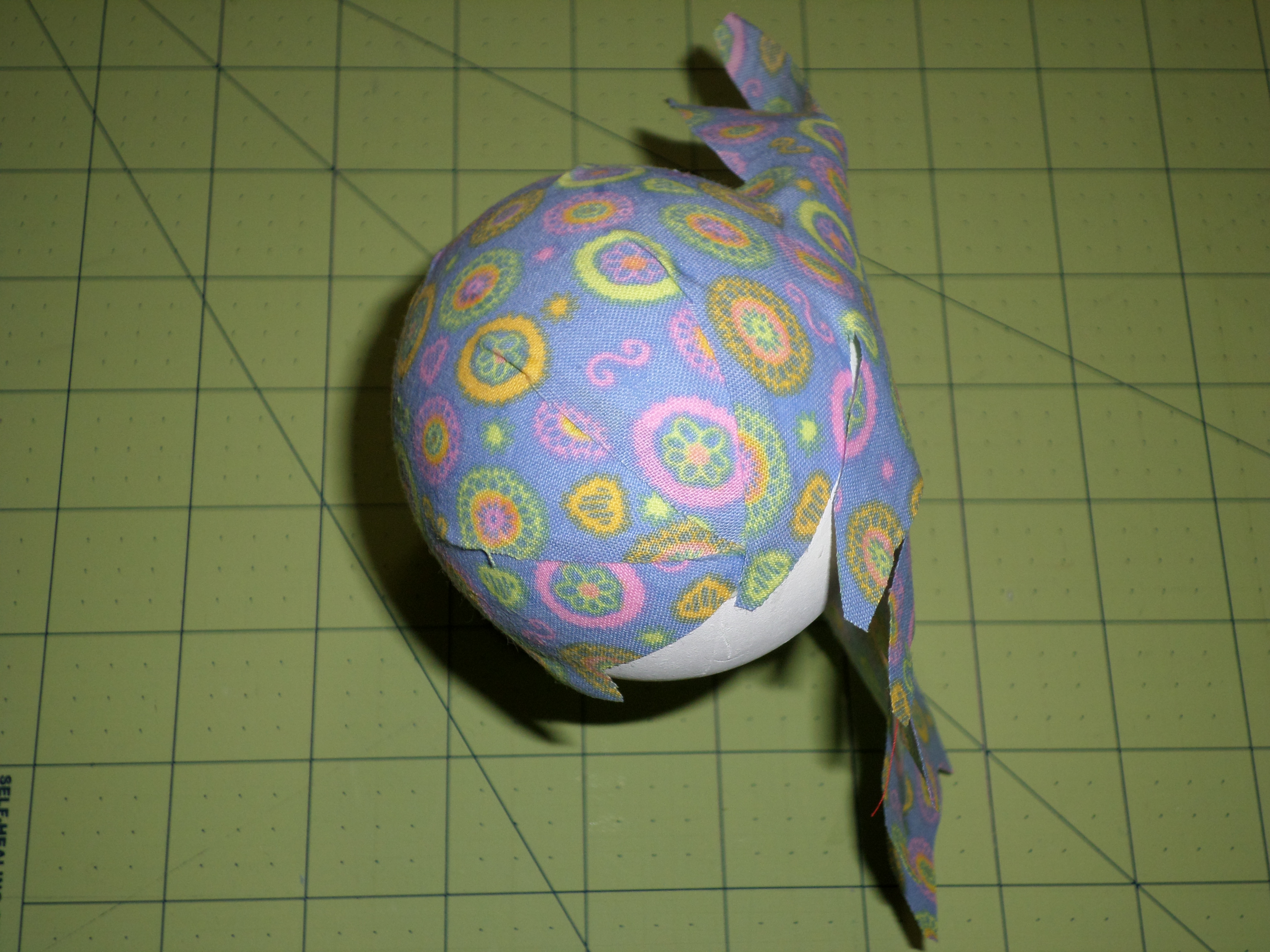 SAMSUNG CAMERA PICTURES