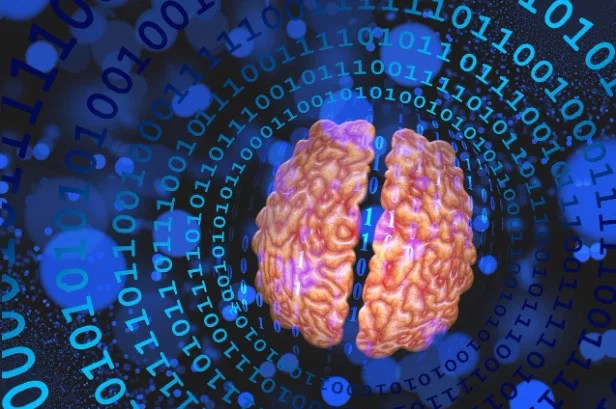 Is Consciousness More Than Just Code? The Role of Brain Physics Explained (2026)
