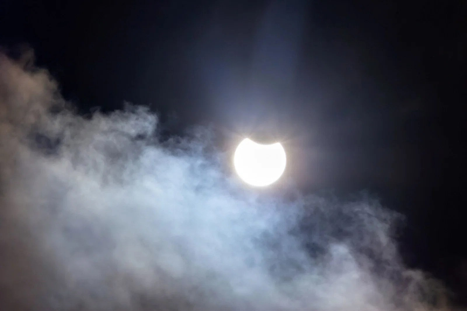 Are Trees Really Predicting Eclipses? Scientists Say No (2026)