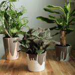 Paint dipped pots