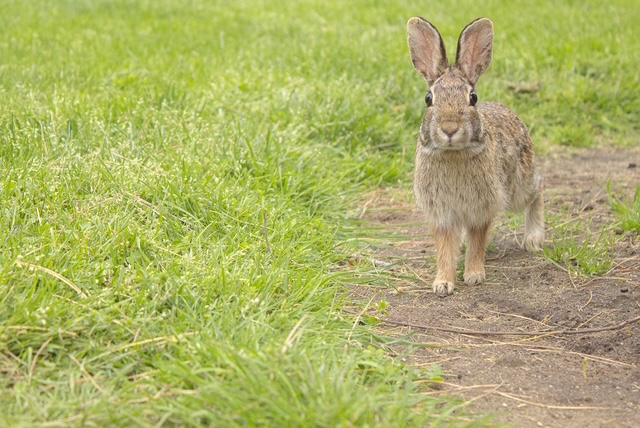 Keep Calm and Hop On This Semester