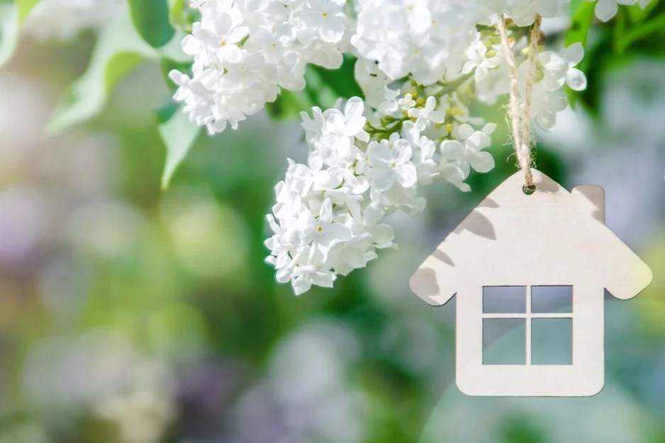 Top spring renovation projects for your home