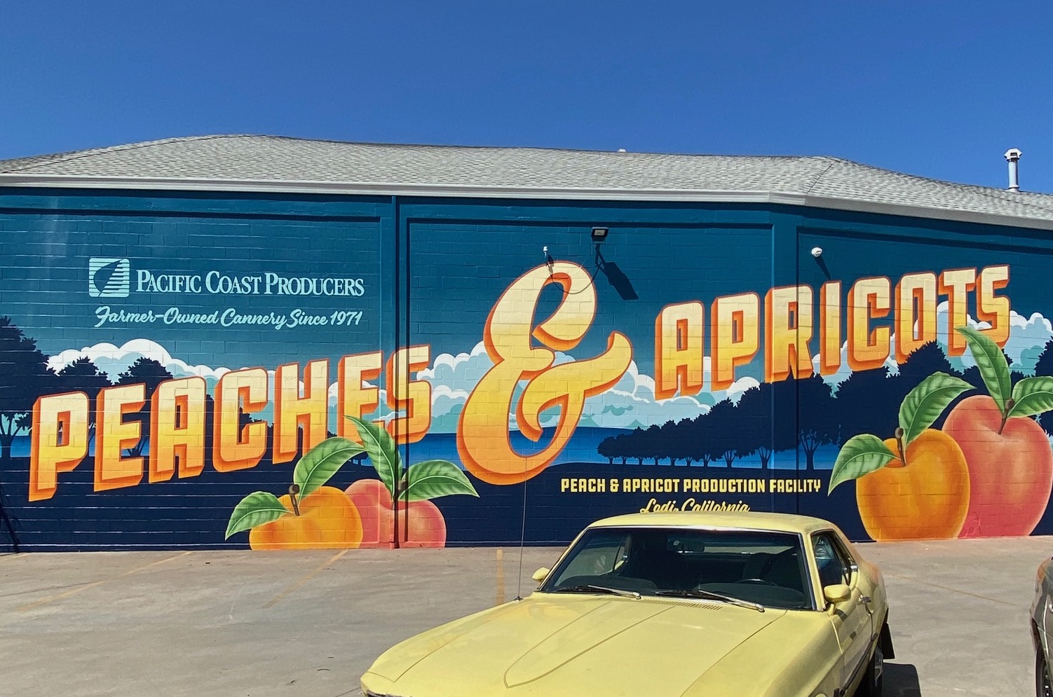 Jamie Stark Reimagines Vintage Produce Labels and Cans as Murals for Pacific Coast Producers