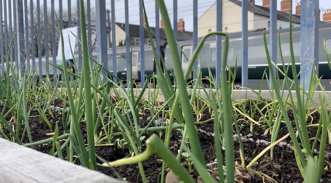 Cardiff community training helps people secure jobs Media outlet for