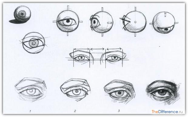 как нарисовать лицо человека картинки