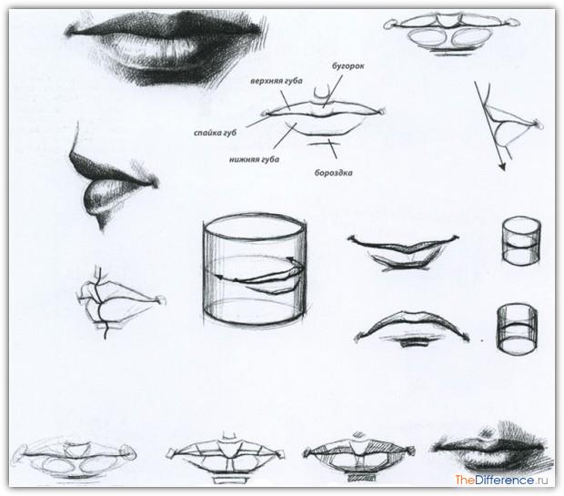 как срисовывать с фотографии людей