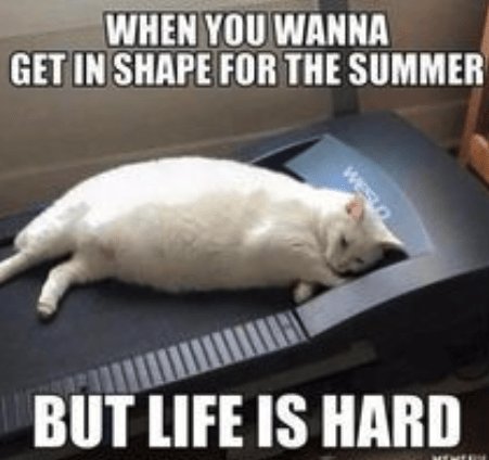 getting-in-shape-for-the-summer