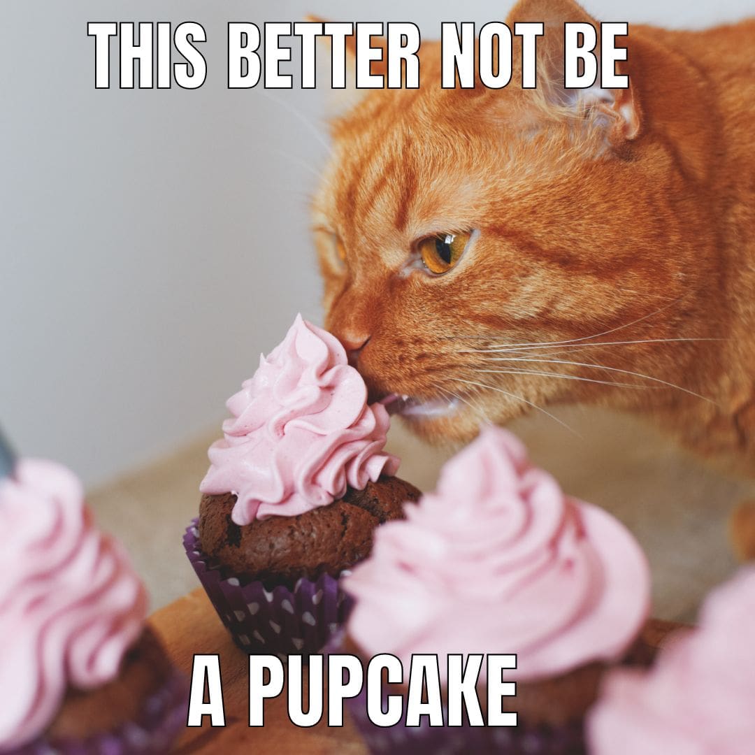 better-not-be-pupcake