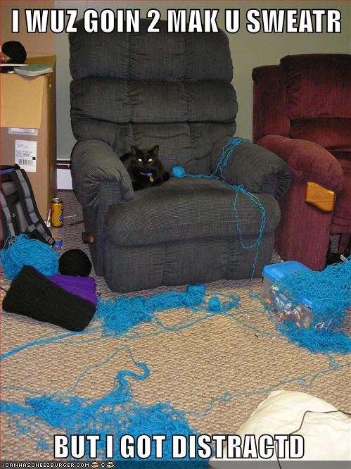 cat-tried-to-make-you-a-sweater