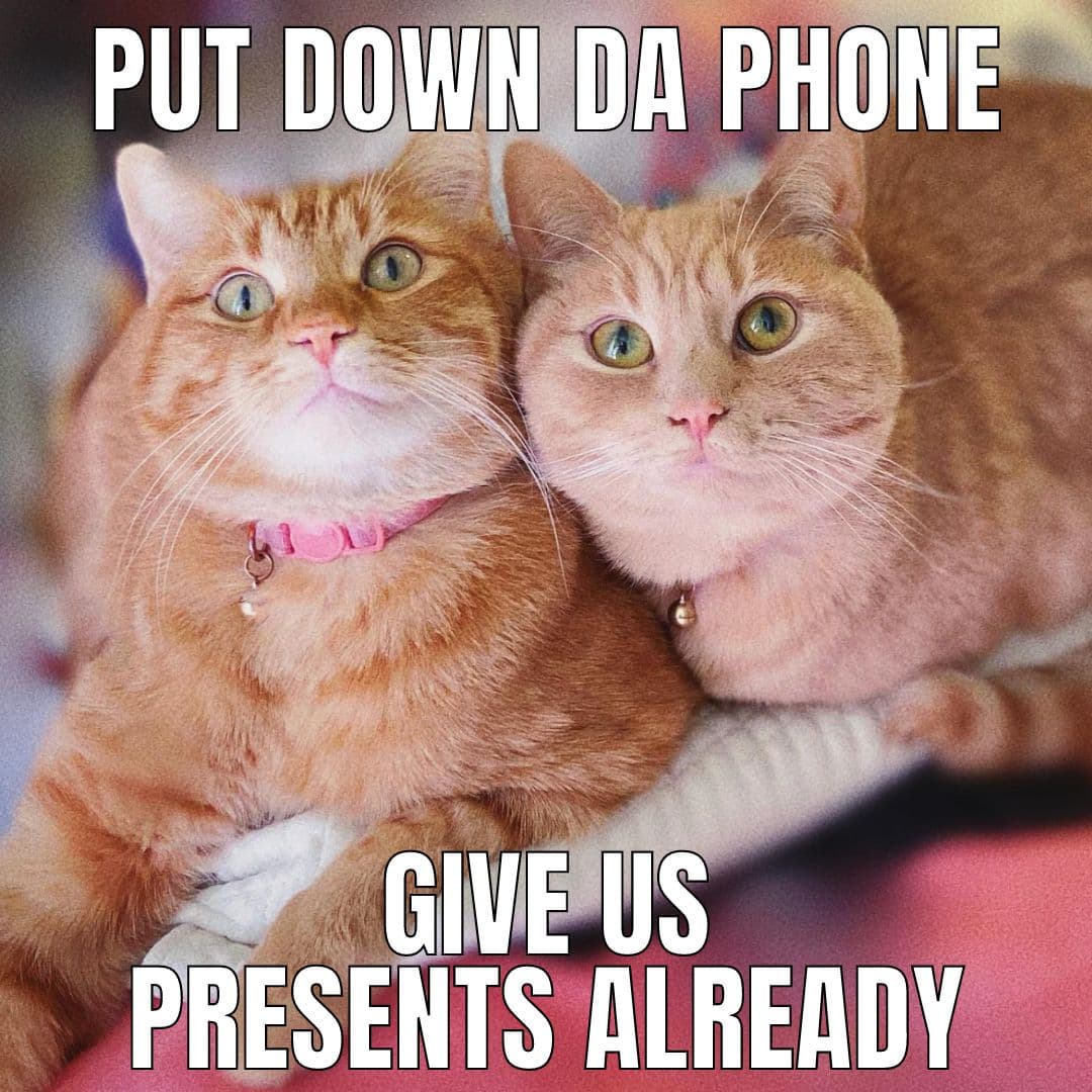 enough-photos-time-for-presents