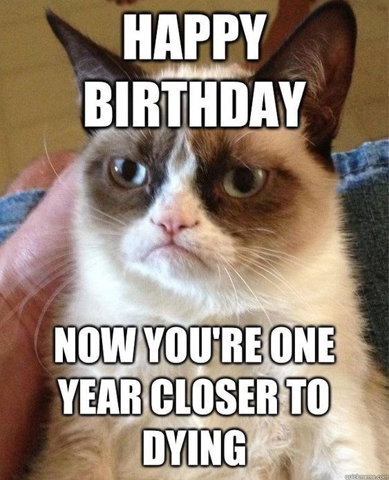 Birthday Cat Memes That Will Make Your Day Instantly Better 22 grumpy-cat-bad-wishes