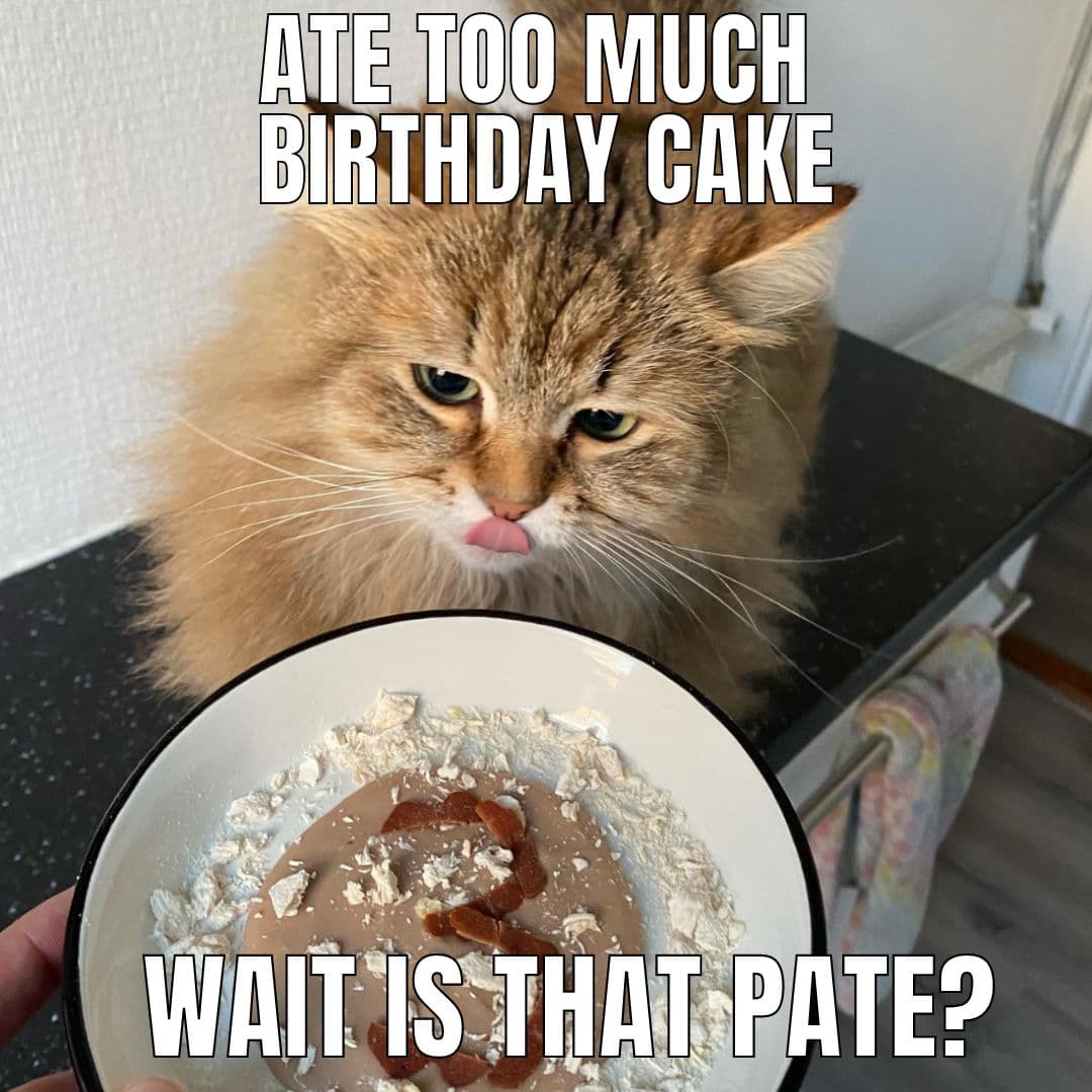 is-there-such-thing-as-too-much-cake