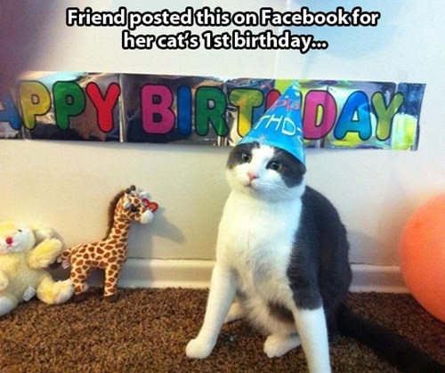 not-everyone-likes-being-the-center-of-attention