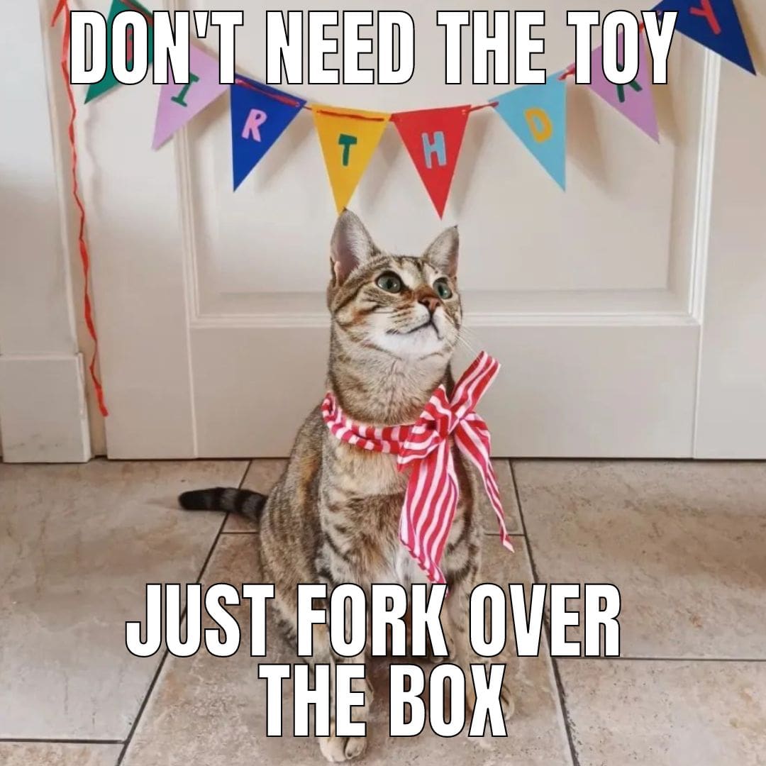 sometimes-the-box-is-the-best-gift