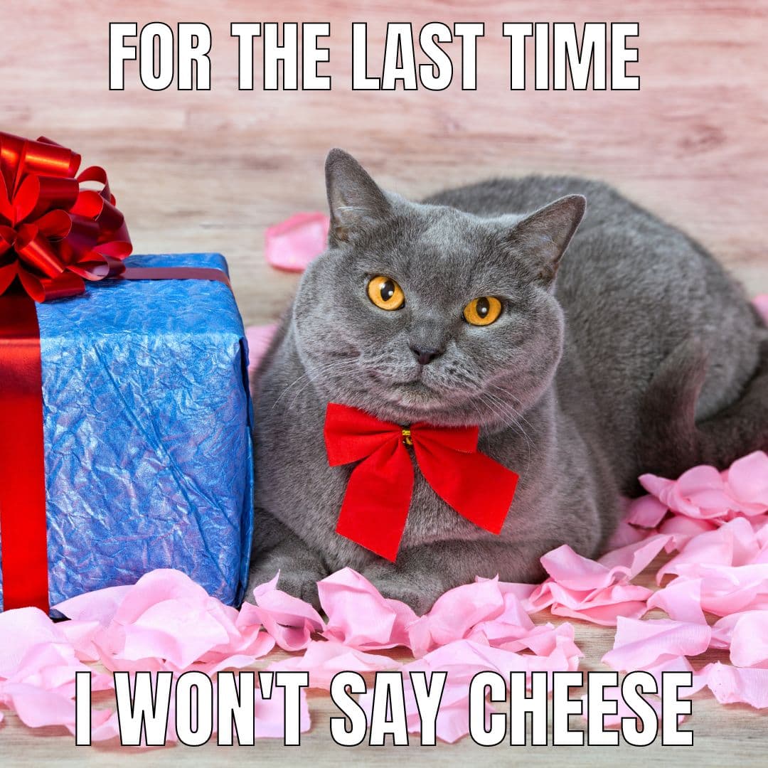 tired-of-saying-cheese