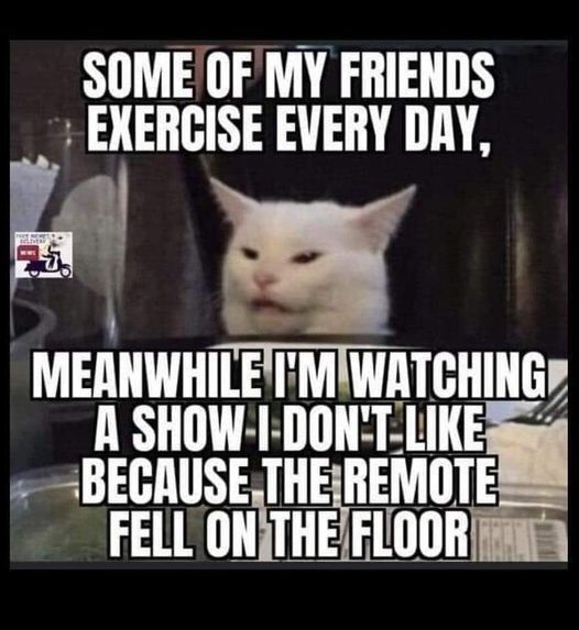 cat-doesnt-want-to-exercise