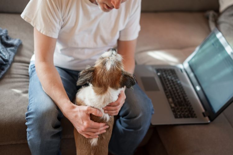 dog with man
