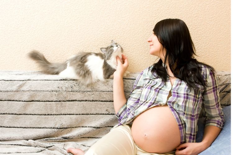 preganant woman with grey and white cat