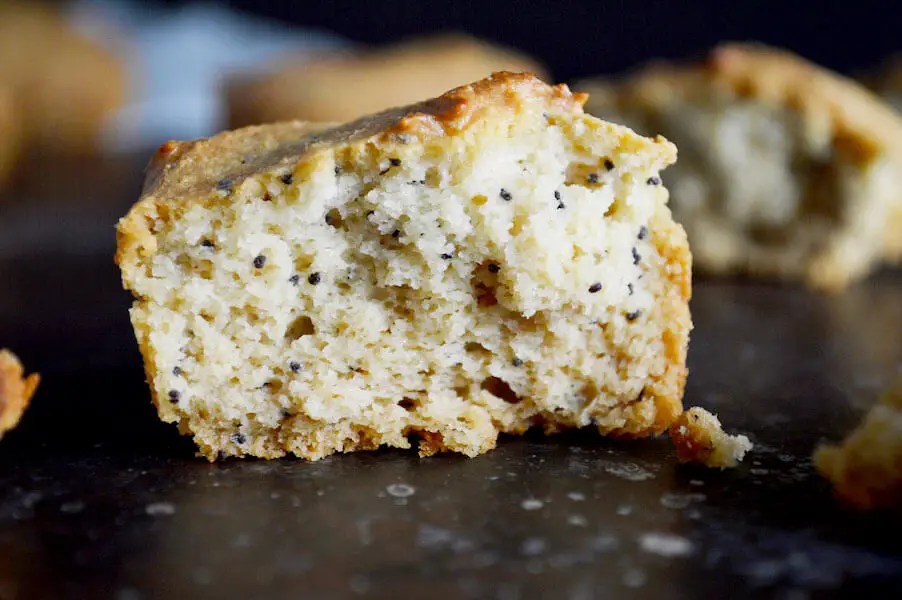 gluten free poppyseed muffins
