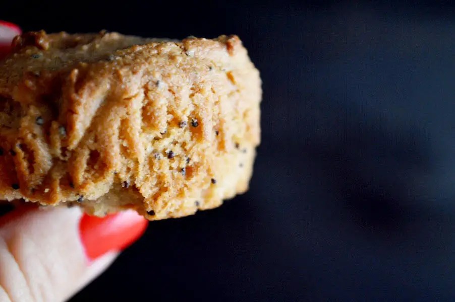 gluten free poppyseed muffins