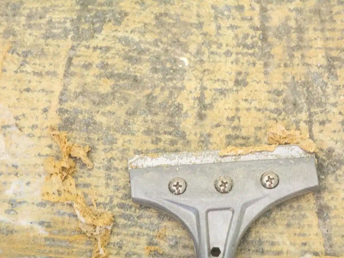 How To Remove Carpet Glue From Concrete Diy Tutorial The Nuts