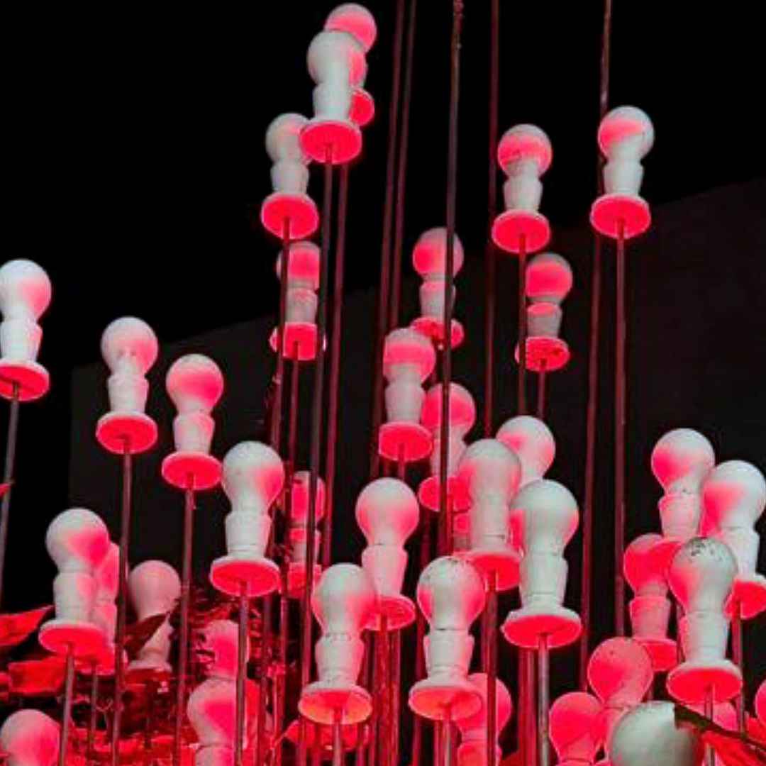 SEEDS AND A SYMPHONY OF IDEAS [DETAIL] BY THE DNA FACTORY MRSS
