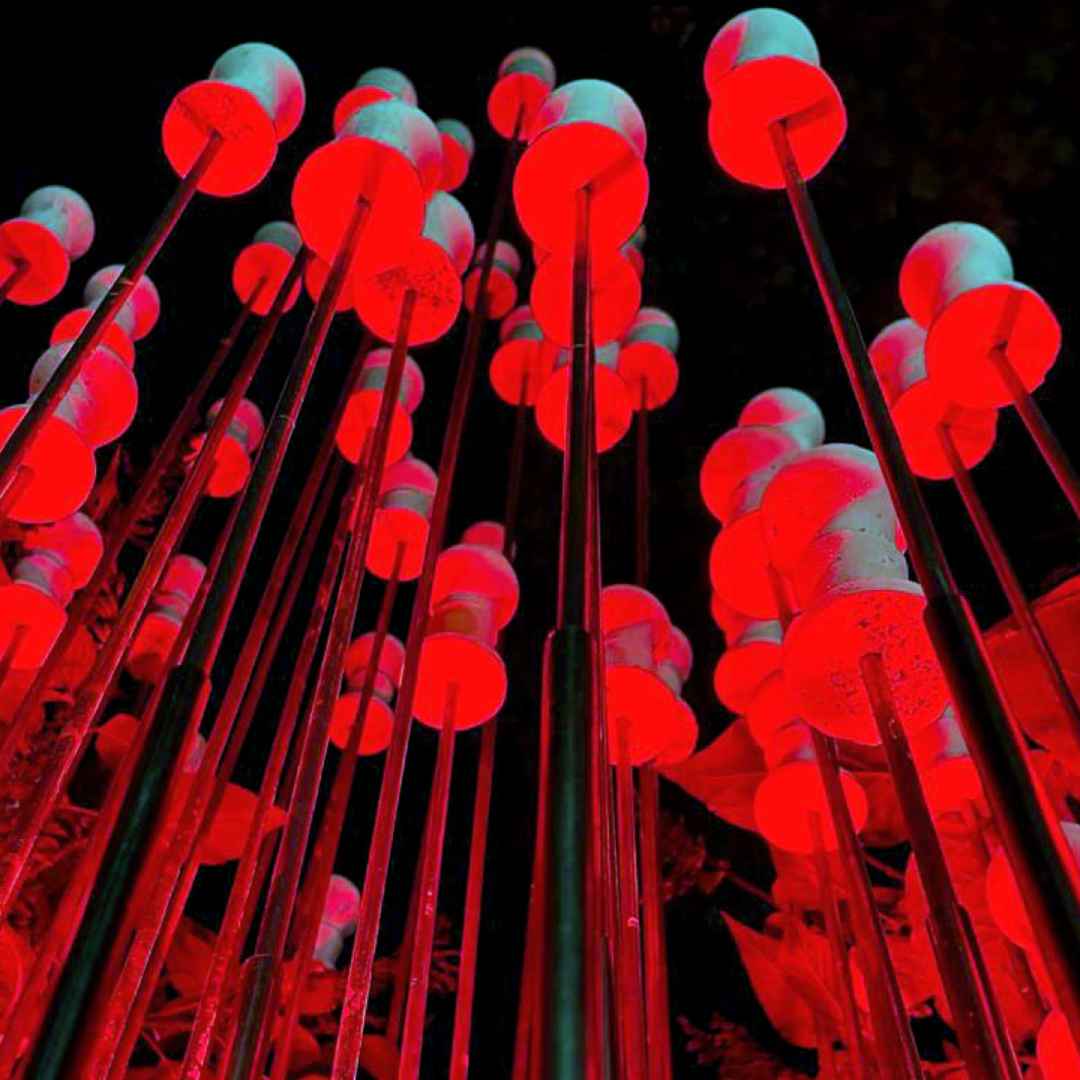 SEEDS AND A SYMPHONY OF IDEAS [DETAIL] BY THE DNA FACTORY MRSS