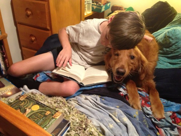 Khan aka Colby the Golden Retriever~RIP