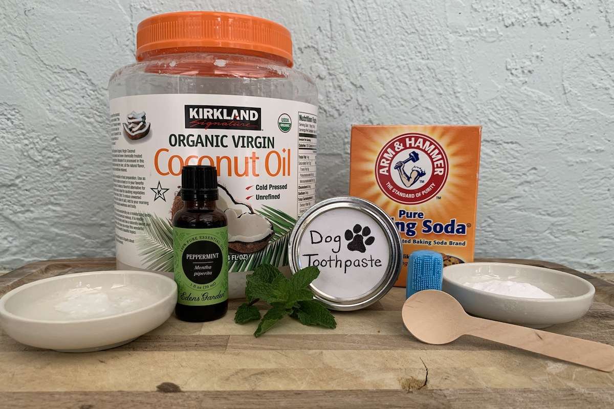 How to make homemade dog toothpaste: diy recipes