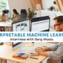 Interpretable Machine Learning - The Effective Statistician