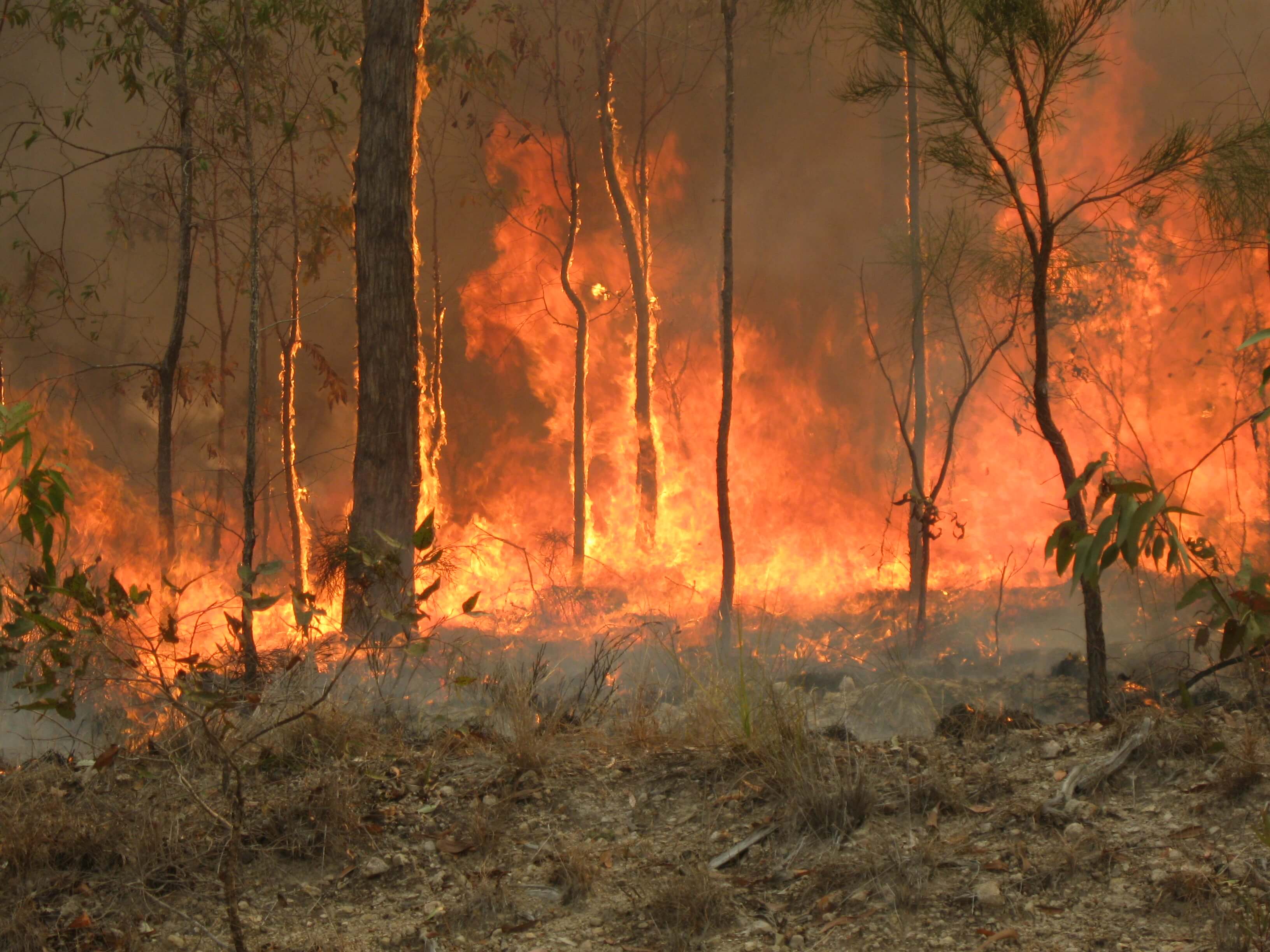 Australian Wildfires