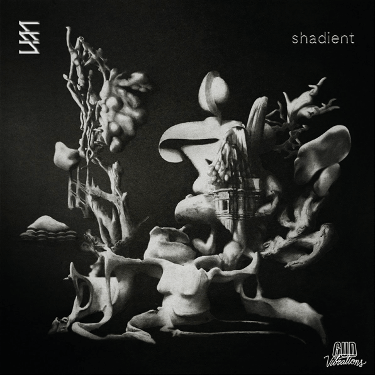 shadient