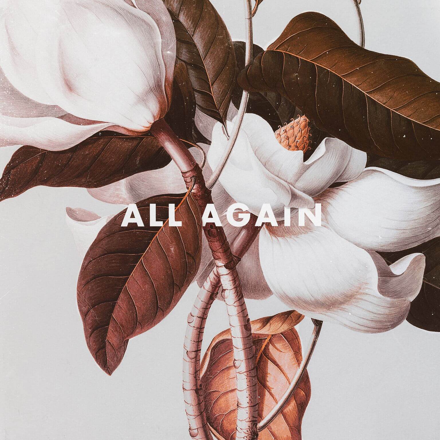 Krane x Boombox Cartel