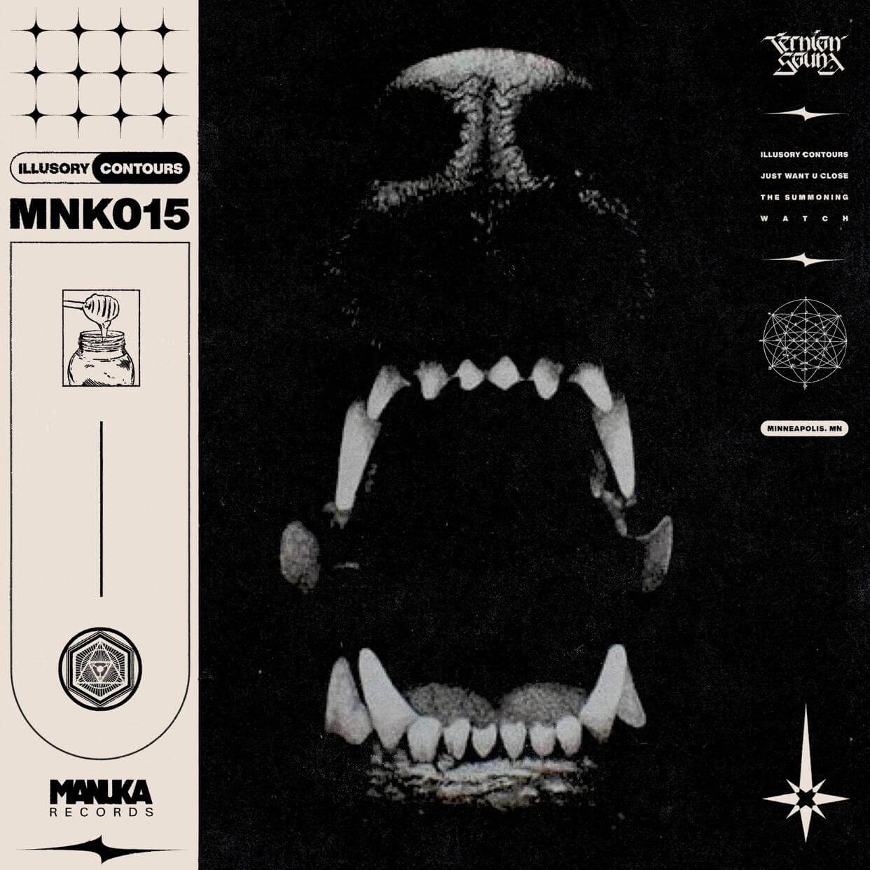 TernionSoundIllusoryContoursElectricHawk