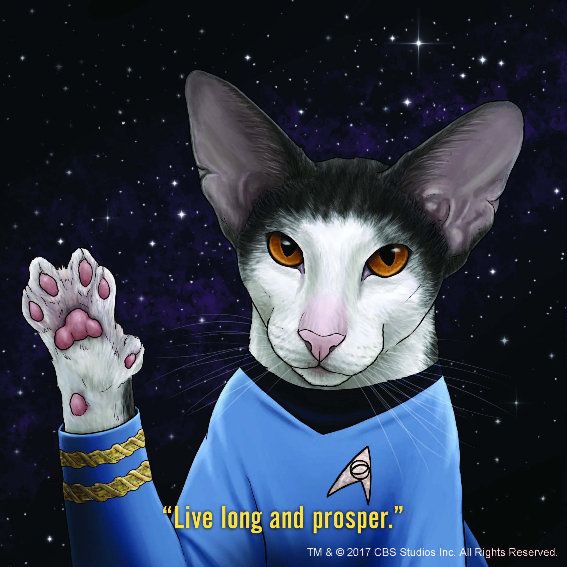 Star Trek cats