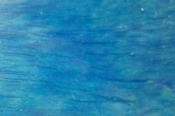 BlueStream