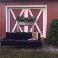 christmas shoot