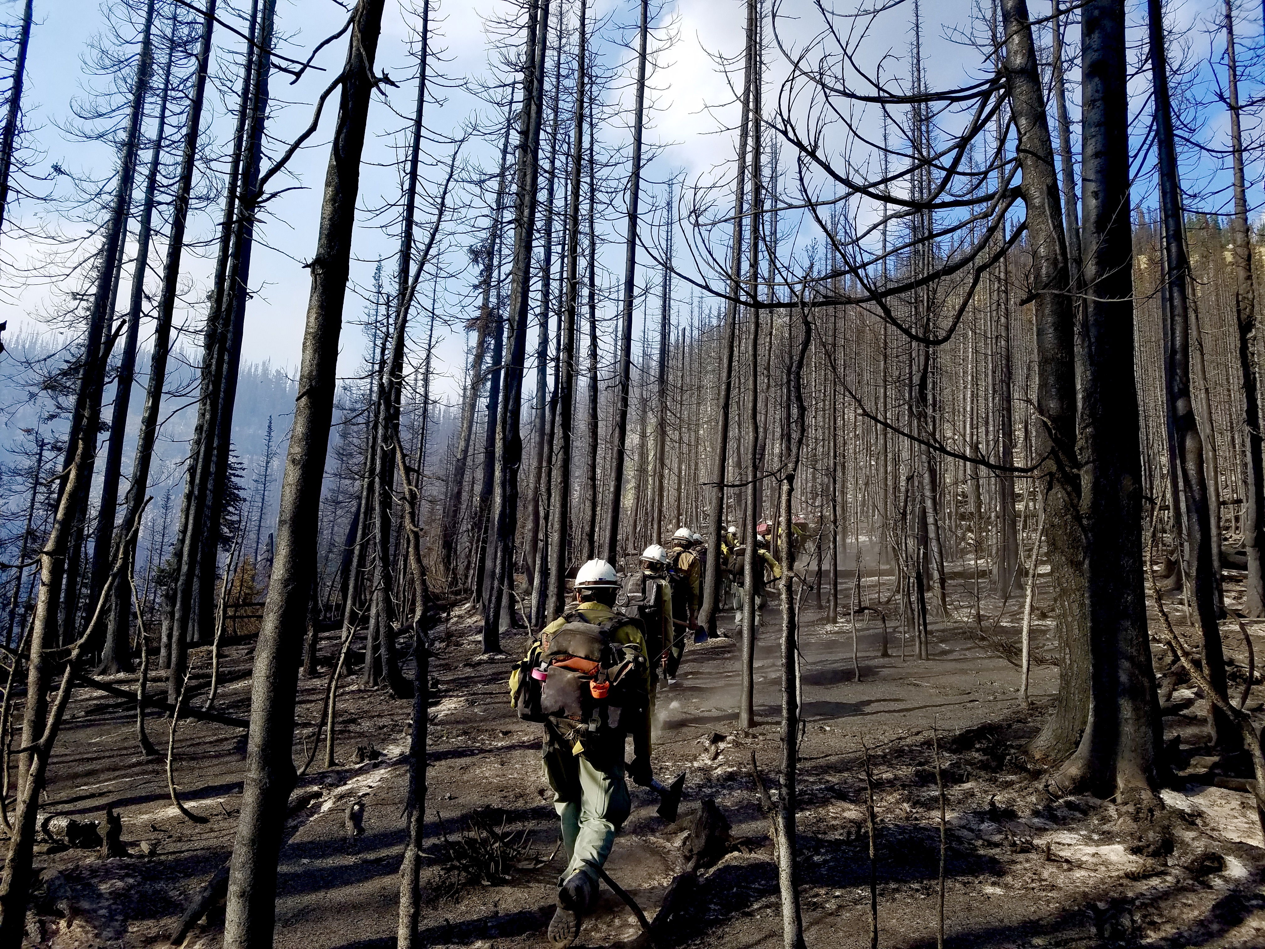 海ぶどう, forest fire セット JB MDL partnership protects the Pinelands with new firebreak