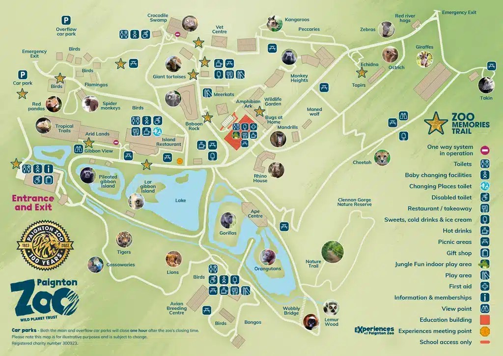 Paignton Zoo Map Spring 2024 Rare Pigeon Hand Reared At Paignton Zoo Paignton Zoo Visitor Map Spring 2023.webp