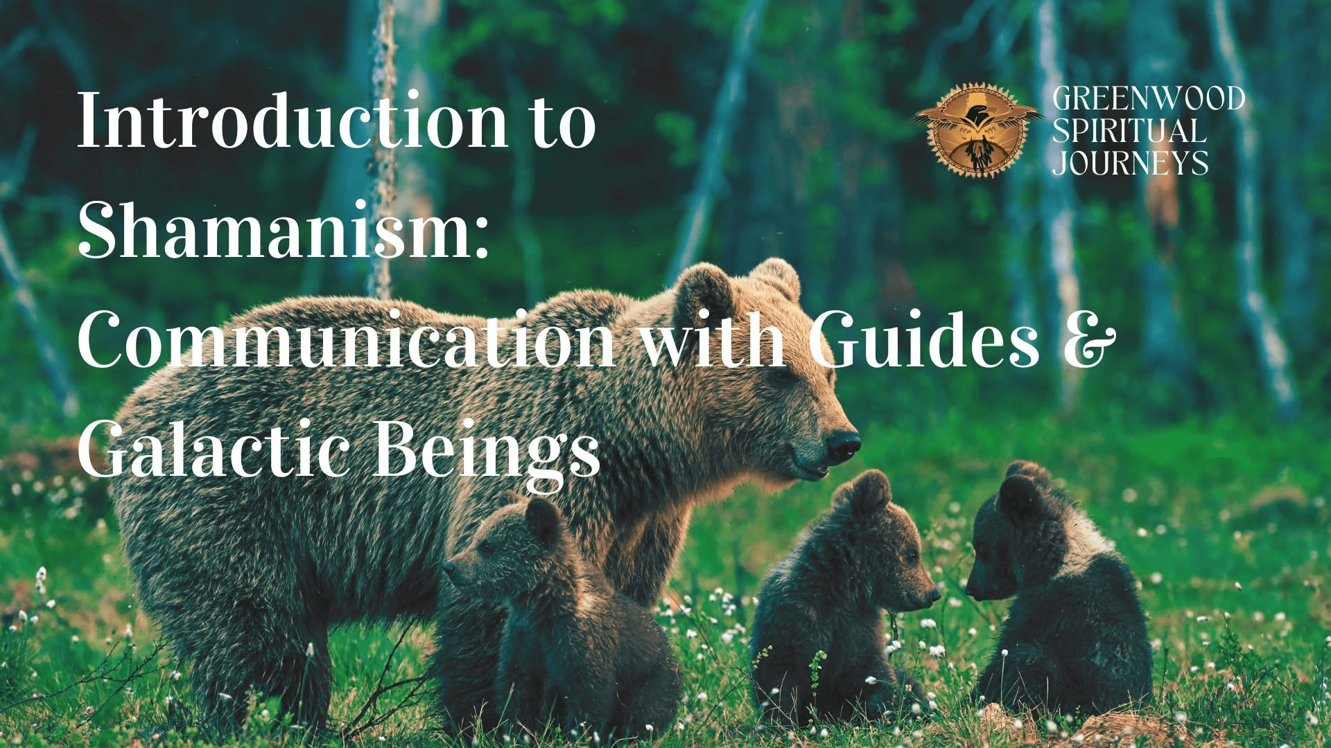 Communication with Guides & Galactic Beings event image