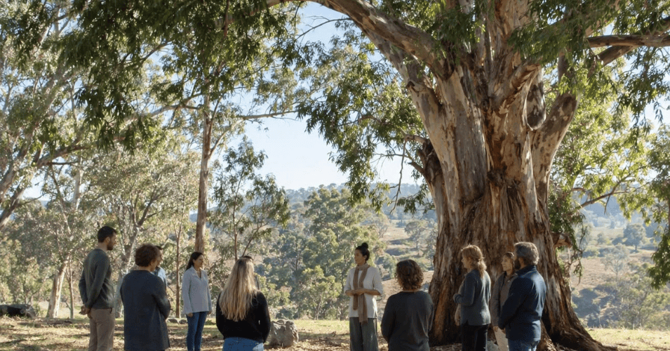 Systemic Constellations Workshop image group of people under a large gum tree