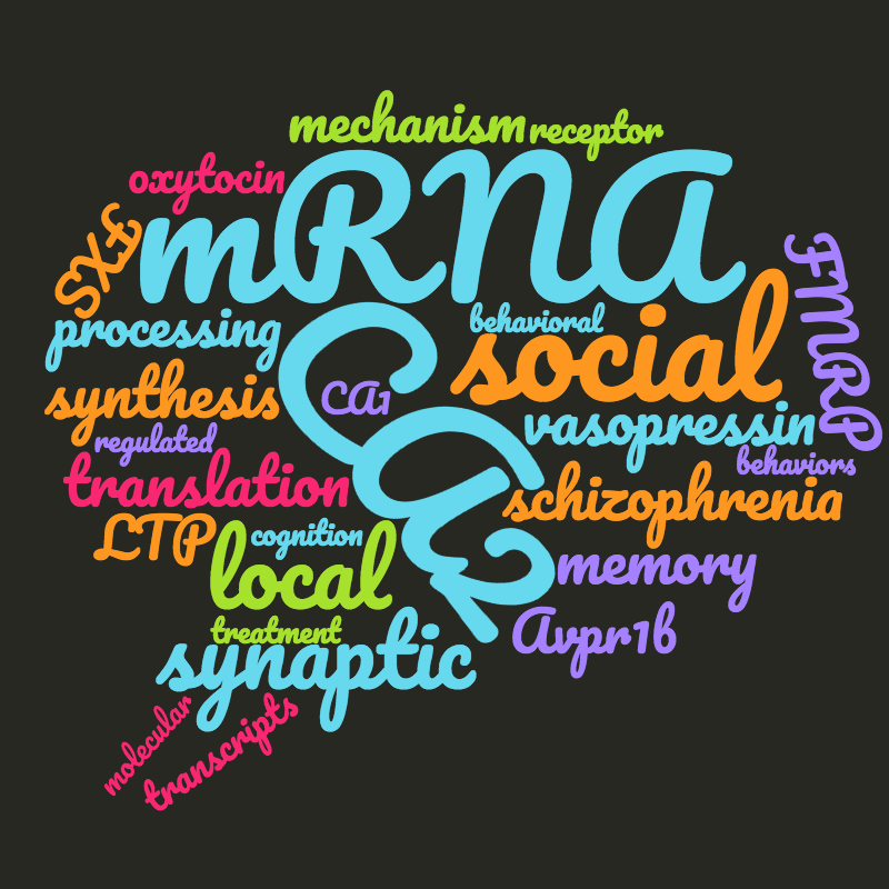 Wordcloud of a recent research statement